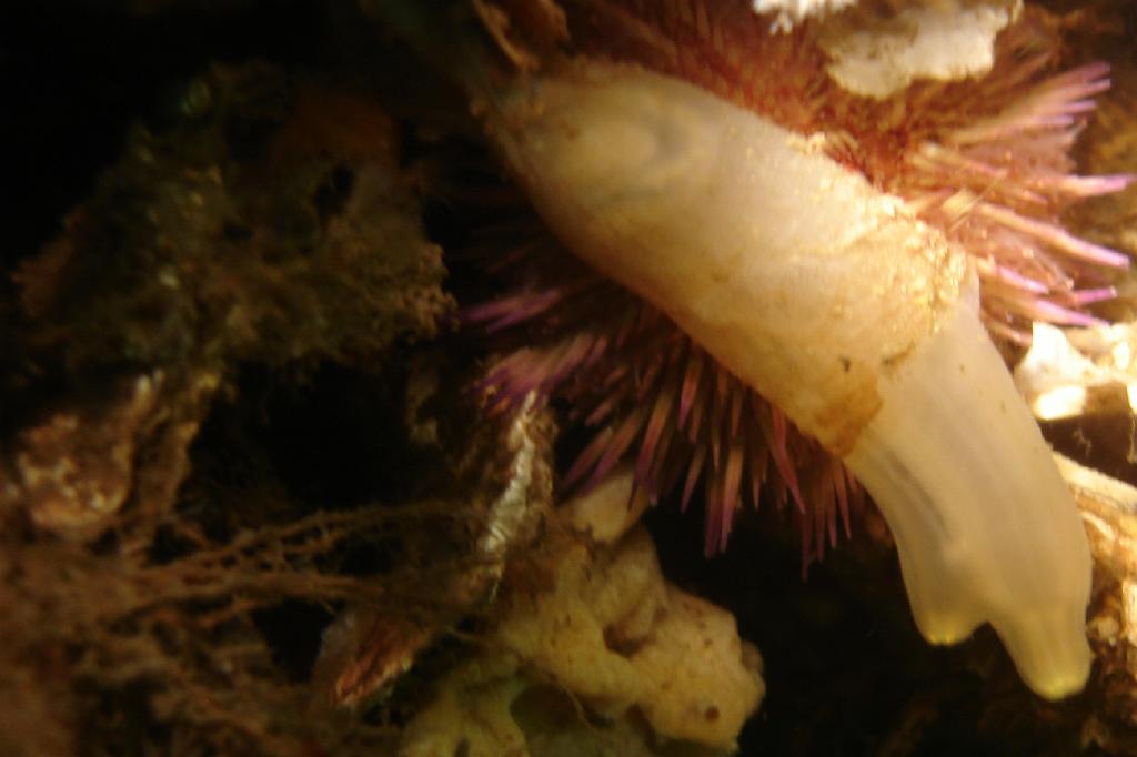 2008-10-18 10-28-31.JPG